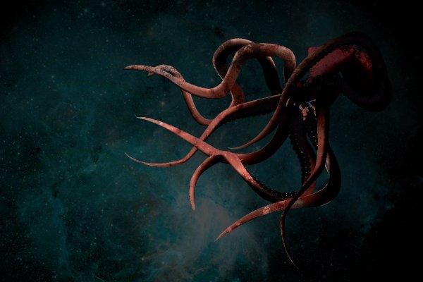 Кракен krakens13 at