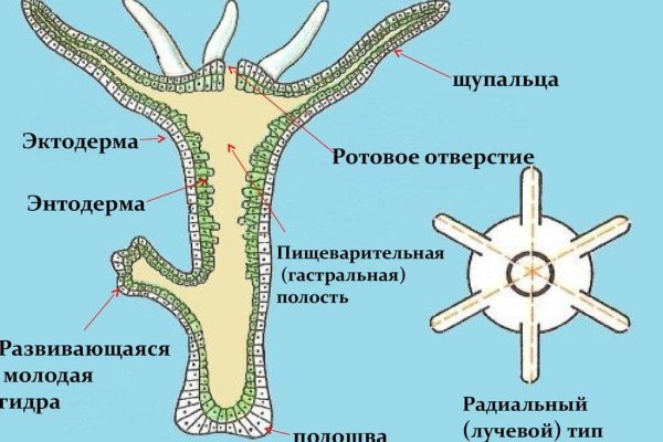 Как зарегаться на кракене