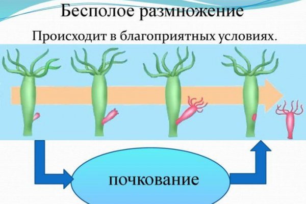 Что такое кракен маркет торкнет